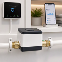 Compteur d'eau intelligent à ultrasons OEM 4G RS485 avec sortie impulsion LoRaWAN AMR, compteur numérique prépayé sans fil à distance, IP68, en acier inoxydable