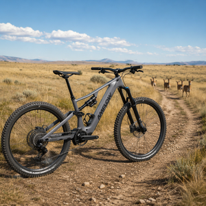 VTT électrique tout carbone haut de gamme Amflow PR Carbon Pro 2026 avec batterie grande capacité 800Wh, moyeu arrière <span class=keywords><strong>HG</strong></span> 4 cliquets 36T Enduro - Product Image 4
