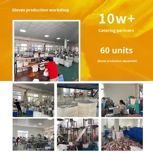 Одноразовые перчатки из экологически чистого материала TPET, индивидуально упакованные утолщенные перчатки из двух упаковок, с логотипом могут быть напечатаны - Product Image 4