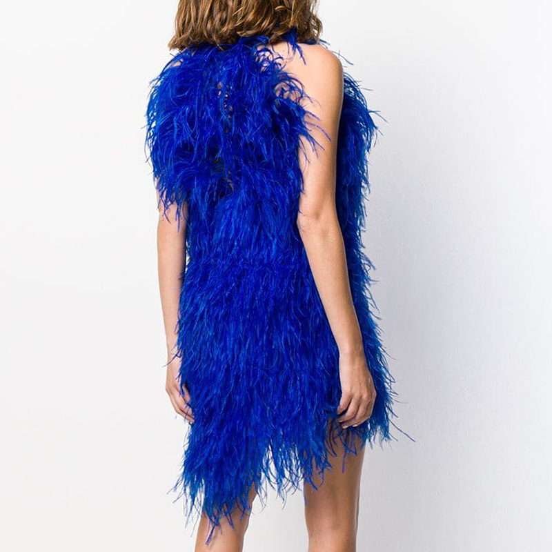 Shop Designer Style Sleeveless Women's Sexy Mini Ostrich Feather Dress