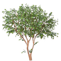 Grand arbre d'érable artificiel en fibre de verre, fait main, pour intérieur et extérieur, idéal pour les événements de remise de diplôme et le Nouvel An - Vente en gros