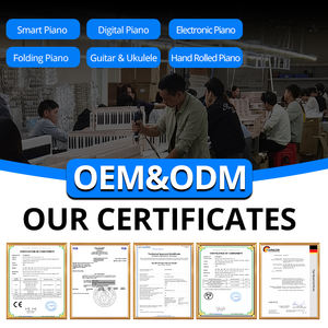 Piano électrique professionnel Terrence à 88 touches, marteaux lourds, numérique, électronique, spécial débutants, usage domestique, maternelle - Product Image 2