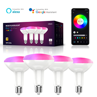 Ampoule LED intelligente BR30Premium WiFi Bluetooth 2.4G RGB CCT 10W 800lm E26 2700K-6500K Surplife Briturn App Contrôle vocal Éclairage domestique