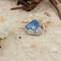 Vente chaude Réfrigérateur Aimant Coquillage Décoration Spécimen Crabe Étoile De Mer Plage Souvenir Résine Modèle Décor À La Maison Mer Sentiment