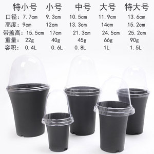 Plastic <b>Pot</b> Round Size With Breathable Cover For Home Gardening Desktop Use - Product Image 4