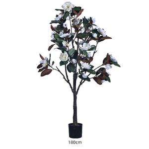 Árboles <span class=keywords><strong>de</strong></span> <span class=keywords><strong>Magnolia</strong></span> Artificiales en Maceta al por Mayor, Bonsáis Decorativos <span class=keywords><strong>de</strong></span> Interior para Decoración del Hogar - Product Image 1