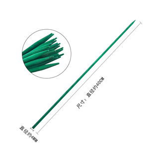 Varillas de soporte de bambú verde para el crecimiento de plantas y arreglos florales 903 - Product Image 5
