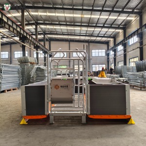Cage <span class=keywords><strong>de</strong></span> maternité pour truies, enclos <span class=keywords><strong>de</strong></span> maternité pour porcs, équipement d'élevage porcin, vente en gros, fabrication directe usine, sur mesure - Product Image 2