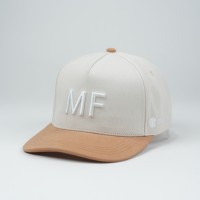 Vente en gros Casquette de baseball décontractée et ajustable unisexe 5 panneaux en coton avec logo brodé en 3D