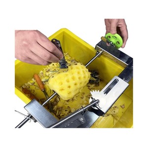 Machine à éplucher et à trancher l'ananas, modèle commercial de renommée mondiale - Product Image 5
