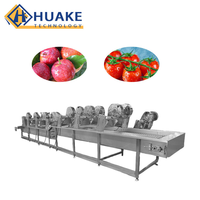 Industriële continue bladgroente- en fruitwasmachine, voedselveilige reinigingsmachine voor productie
