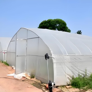 Serre <span class=keywords><strong>tunnel</strong></span> agricole simple travée de petite taille 10-100m, économique et commerciale, en film PE - Product Image 5