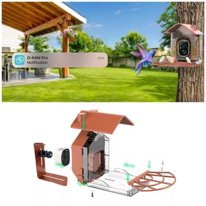 Không Dây Thông Minh <span class=keywords><strong>Bird</strong></span> Trung Chuyển 3MP HD Máy Ảnh Tầm Nhìn Ban Đêm TF Hỗ Trợ Thẻ Xem Chim - Product Image 5