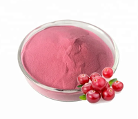 Supplément de poudre de jus de fruit de canneberge de catégorie comestible riche en extrait d'anthocyanine