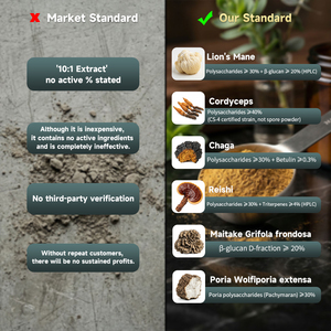 Marque Privée OEM – Mélange de Poudres d'Extraits de Champignons 12-en-1 : Crinière de Lion, Cordyceps, Queue de Dinde – Polysaccharides à Spectre Complet – GMP - Product Image 2