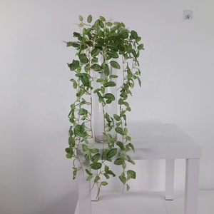 6 tiges, 360 feuilles, 80 cm de long, plante artificielle miniature en filet suspendue pour la décoration murale de la maison et du jardin - Product Image 2