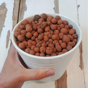 Substrat de culture hydroponique : Galets d'argile poreux expansés / Pellets d'argile Leca pour l'agriculture - Product Image 5