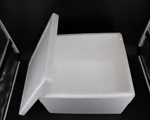 Grand polystyrène boîte de poisson glacière en polystyrène boîte de nourriture de boîte de glace en mousse avec prix usine