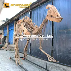 MY DINO DS005 Realistic 3d Parasaurolophus Skeleton Model of Dinosaur Park