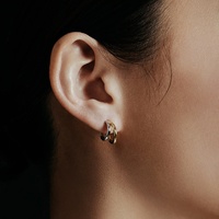 LOZRUNVE Joyería de Moda Personalizada, Pendientes de Aro Doble con Doble Baño de Color, Tendencia 2014