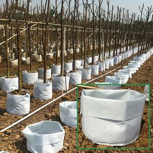 Bolsas de cultivo de árboles para crecimiento de plantas, 180GSM / 200GSM/250GSM, poliéster o PP - Product Image 3