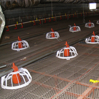 Poulailler Machine Grande Conception Ferme Volaille Mangeoire Pan House Ligne D'alimentation Automatique Système poulets Équipement