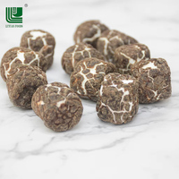 Chaoan Luyuan, Certificado ISO22000, OEM, Malvaviscos Liofilizados con Recubrimiento de Chocolate, Barra Sólida de Caramelo, Delicias Dulces, 12 Unidades