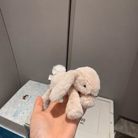 Ensemble de peluches Smaggies mignonnes et miniatures, jouets en peluche doux représentant des animaux de la forêt, singe, lapin, éléphant, renard, ours, hippopotame, cadeau de Noël pour bébé