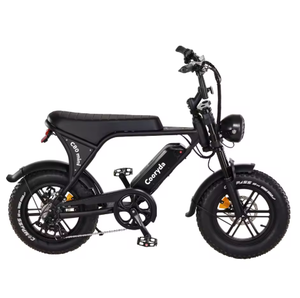 Mini vélo électrique V8-Comparaison des spécifications des versions européennes et américaines - Product Image 4