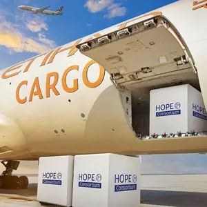 中国からUAEへトップ10航空貨物運送業者航空貨物配送シャルジャアブダビドバイ