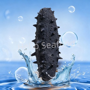 Pepino de Mar Seco Empacado a Granel Listo para Exportar con Alta Calidad - Product Image 4