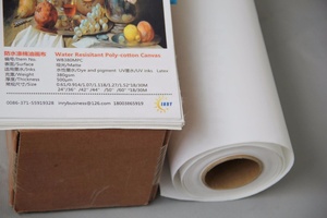 Rouleaux de toile d'artiste grand format en satin polycoton blanc brillant pour impression jet d'encre UV, motif peinture romaine - Product Image 5