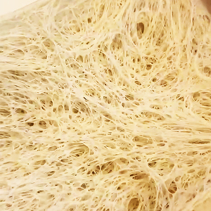 Cottura pasta di pane mate attivo lievito secco istantaneo potenza 500g fabbrica <span class=keywords><strong>per</strong></span> pane a fermentazione rapida pasticceria impianto di produzione - Product Image 5