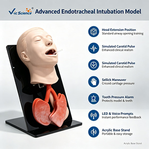 Tête de modèle d'entraînement à l'intubation trachéale en PVC grandeur nature avec aspiration et pression <span class=keywords><strong>crico</strong></span>ïde pour la formation en urgence CE ISO ROHS CNAS - Product Image 1