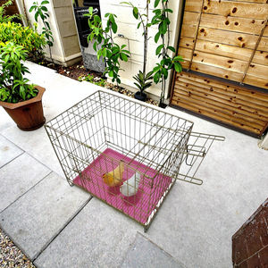 Vente en gros de cage pliable en fer galvanisé blanc caisse métallique stable et durable avec plateau en plastique amovible - Product Image 3