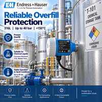 Endress+Hauser Liquiphant FTL41 100% Original Vibronic Point Level Switch pour la protection des pompes de réservoirs de liquides