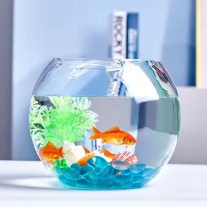 Vase à fleurs rond à bord souple, vente en gros, réservoir à poissons de haute qualité avec boîte individuelle, réservoir en verre