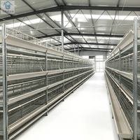 Bâtiment d'élevage de poulets moderne en structure légère en acier |   Poulailler multi-étages intégré pour l'élevage intensif de poules pondeuses et de poulets de chair à grande échelle