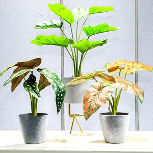 Plásticos <span class=keywords><strong>plantas</strong></span> artificiales bonsái decoración del hogar <span class=keywords><strong>plantas</strong></span> <span class=keywords><strong>de</strong></span> <span class=keywords><strong>interior</strong></span> artificiales <span class=keywords><strong>con</strong></span> maceta jardín árbol en maceta moderno Mini maceta <span class=keywords><strong>de</strong></span> plástico - Product Image 3