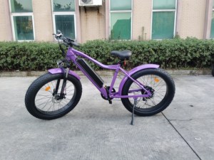 26 Inch Chất Béo Lốp Chu Kỳ Điện Leo Núi Lai Xe Đạp 48V 20Ah Pin Lithium 750W bafang Động Cơ Xe Đạp Điện - Product Image 5