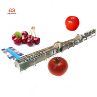 Groente-en Verwerking Apparatuur Pdf Granaatappel Reiniging Aloë Vera Papaya Wasmachine
