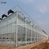 Invernadero de Vidrio Resistente para Proyectos de Cultivo Comercial de Vegetales a Gran Escala