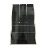 Technique avancée N IBC Cellule solaire Noir Blanc Couleur 188*485mm 18W 6.6V Mono Double Verre Panneau solaire Bandes de longueur 24.5%