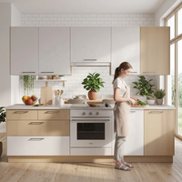 Armoires de cuisine modulaires en contreplaqué sur mesure à une seule façade avec plan de travail en Solid Surface et four encastré