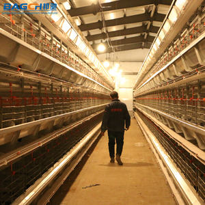 H tipi pil tabakası yumurta tavuk yumurta döşeme tavuk tavuk kafesi - Product Image 2