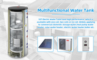 St-usine personnalisée autoportante/murale réservoir deux en un 200L-500L chaudière à eau chaude pour la maison