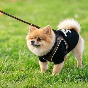 Pet Dog Leather Leashes Solid Rivet Tactical Rope Durable Adjustable for Small Medium Dogs Cats Training Walking - Product Image 5