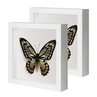 Marco de Fotos Tipo Caja de Sombra, Cajas de Sombra Cuadradas de Madera, Vitrinas con Profundidad de 3cm 5cm, Marcos 3D, Caja Hueca para Fotos, Flores, Medallas