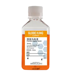 China Factory Supply Horse Serum Culture 20ml 50ml 500ml Horse Serum Cell Culture Media for Cell culture stem cell therapy