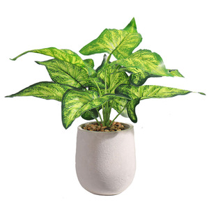 Sago Cycas-Planta Artificial moderna de aspecto Real para habitación, venta al por mayor - Product Image 5